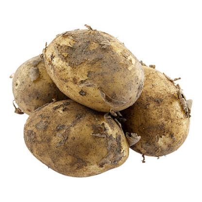 FÄRSKPOTATIS OTVÄTT