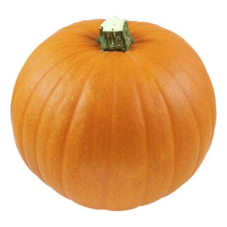 PUMPA HALLOWEEN