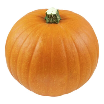 PUMPA HALLOWEEN