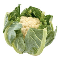BLOMKÅL