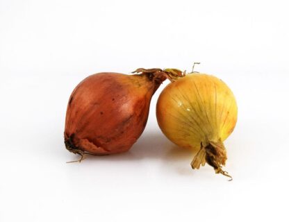 LÖK STEK 250G