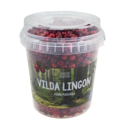 LINGON