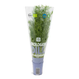 DILL I KRUKA