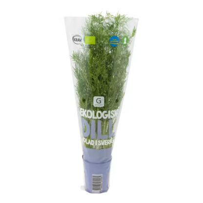 DILL I KRUKA