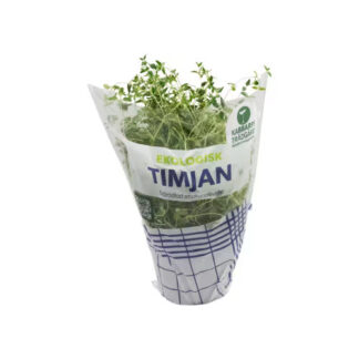 TIMJAN EKO