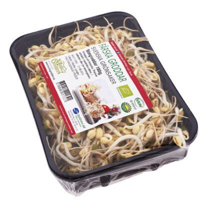 GRODDAR BÖN 180G
