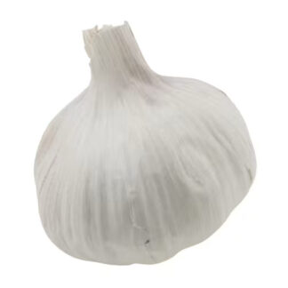 LÖK VIT STOR